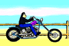 Window Screenshot